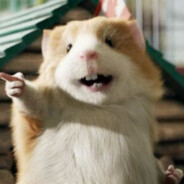 松鼠啃琴鸡大名