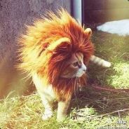 不要打我我怕怕