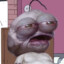 Ace Windu