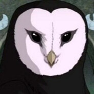 rise's avatar