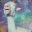 Space Goat Jr., LSD Affecionado