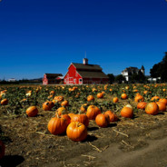 律师警告👎蔡徐坤