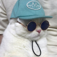 落地我先倒地  激发队友潜力