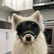 你是NiKo那我是谁