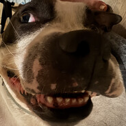 Meatticous Maximus - steam id 76561199138633071