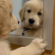 死于心海，葬于脑海。