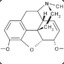 Corpseborne Diarrhea