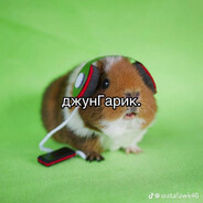 𝓫𝓪𝓷𝓷𝓨𝓱𝓸𝓹