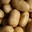 PotatoIsLove