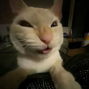 Kalor1T - steam id 76561199889718879