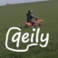 qeily