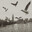 boka935 avatar