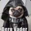 May The Derp Be With You
