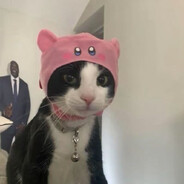 然而河马溺死在水槽里