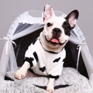 披荆斩棘刘老实