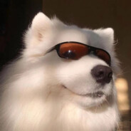 小笨蛋又贪吃我的大喷子