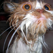 50kg kid 1 tap EUROPA.USP.RO