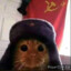 Sir_Kevin