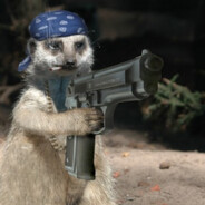 MôZovo avatar