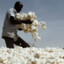 Cotton Picker