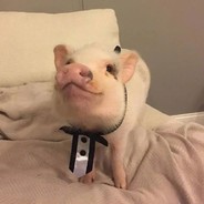 九九年十一岁老年人