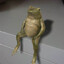 Avatar of Toad