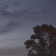 小楼昨夜又东风