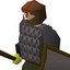 Falador Guard