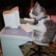 чакнорис - steam id 76561198982471281