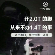 她说她是晒黑的