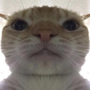 MNIVD_CK