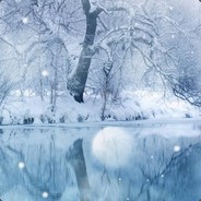 我是你是吗的是我