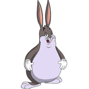 BIG CHUNGUS avatar