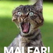 beardedYoga - steam id 76561197969939257