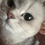 求求你别改我头像了