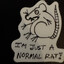 Rat