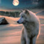 LoneWolf