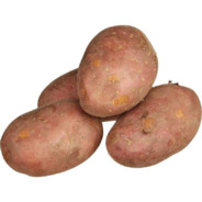 Potato