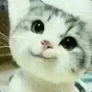 别打我会很疼会坏的