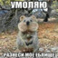 Жан-Клод е-Блан