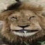 LEU