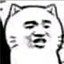 阿Σ(っ °Д °;)っ精