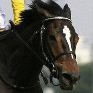 horse 3