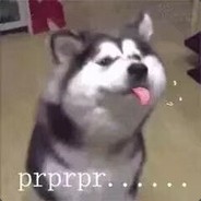 谁是大鸟