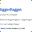 Niggrfaggot