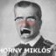 Horny Miklós