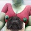 PUG