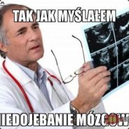 ---->FLINA  PL/UK----<