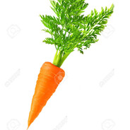 carrot - steam id 76561199126338212