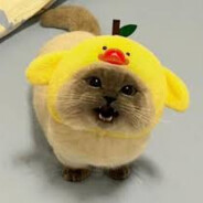 Meow :3